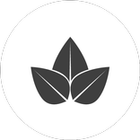 Urban Farming by Farm Queen