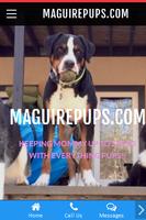maguirepups.com الملصق