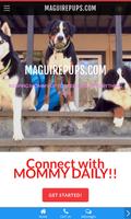 maguirepups.com screenshot 1