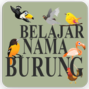 Belajar Nama Burung APK