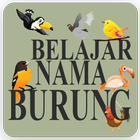 Icona Belajar Nama Burung
