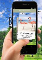 1 Schermata Belajar Nama Burung