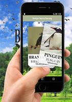 3 Schermata Belajar Nama Burung