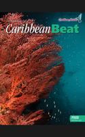 Caribbean Beat capture d'écran 1