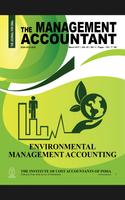 The Management Accountant capture d'écran 1