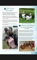 The Poultry Magazine ảnh chụp màn hình 3