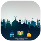 Muslim Collection 2017 ikona