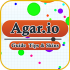Guide for Agar.io Tips & Skins icône
