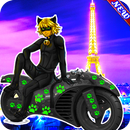 Miraculous cat noir & Miraculous Ladybug adventure APK