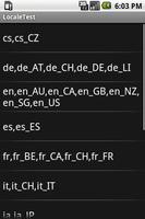 Locale Test پوسٹر