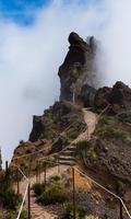 Madeira Wallpaper Cartaz