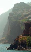 Madeira Wallpaper imagem de tela 2