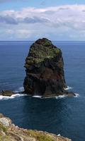 Madeira Wallpaper imagem de tela 3