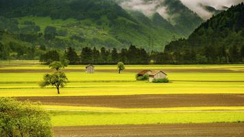 Nature Wallpapers HD (Offline) 스크린샷 1