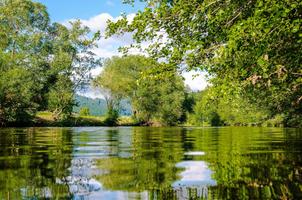 Nature Wallpapers HD (Offline) 스크린샷 3