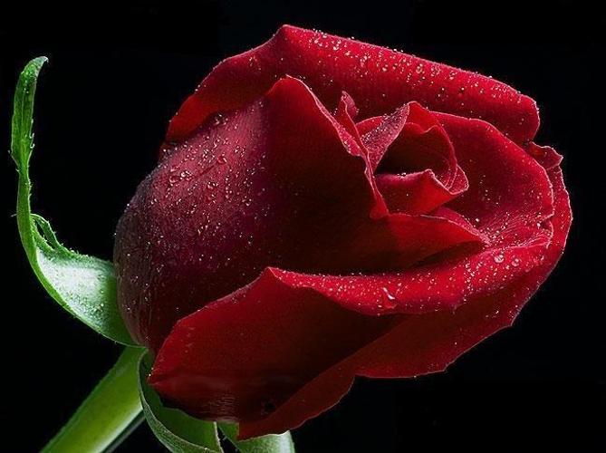 3D Wallpapers HD (Offline) APK for Android Download 3D Wallpapers HD (Offline) APK for Android Download