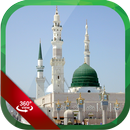 المسجد النبوي VR APK