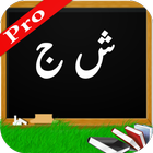 Learn Arabic Alphabet Pro icône