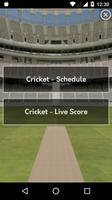 Live Cricket Score Plakat