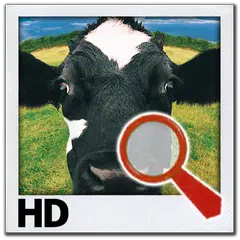 Find It HD 查找的差異 APK 下載