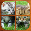 Kittens Puzzle (FREE)