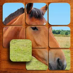 Baixar Cavalos quebra-cabeças (Livre) APK