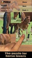 Cavalos quebra-cabeças (Livre) Cartaz