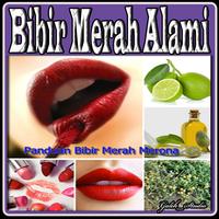 Bibir Merah Alami ảnh chụp màn hình 1