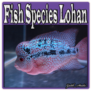 Fish Species Lohan-APK