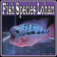 Fish Species Lohan 포스터