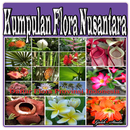 APK Kumpulan Flora Nusantara