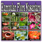 Kumpulan Flora Nusantara icône