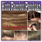 Kutu Rambut Panduan آئیکن