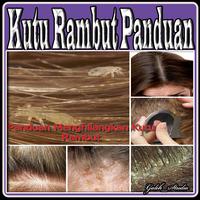 Kutu Rambut Panduan постер