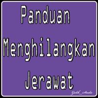 Panduan Menghilangkan Jerawat poster