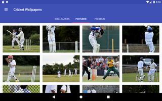 Cricket Wallpapers HD & Motiva capture d'écran 3
