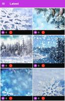 Winter Snow Wallpaper ภาพหน้าจอ 2