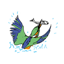 Oasi di Sant'Alessio APK