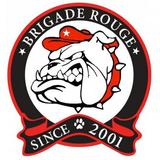 Brigade Rouge آئیکن