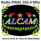 Radio PINAL FM- Nioro du Sahel 아이콘