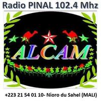 Radio PINAL FM- Nioro du Sahel पोस्टर