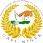 CAPI NIGER 图标