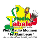 Radio Mognon- Méry icône