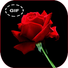 Flower and roses gif collection icon