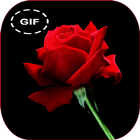 Çiçek ve güller gif koleksiyonu simgesi