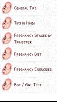 Pregnancy Tips Offline poster