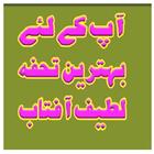 Hr Cheez Sy Hifazat Quran o Hadees E Nabvi (SAAW) icône
