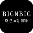 빅앤빅 - bignbig