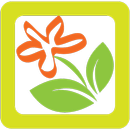 씨플라워 - cflower APK