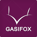 가시여우 - gasifox APK